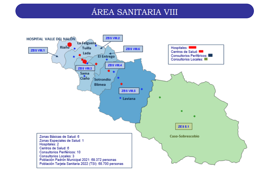 Comprende los concejos de Langreo, Laviana, San Martín del Rey Aurelio, Caso y Sobrescobio.